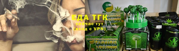 стаф Богданович
