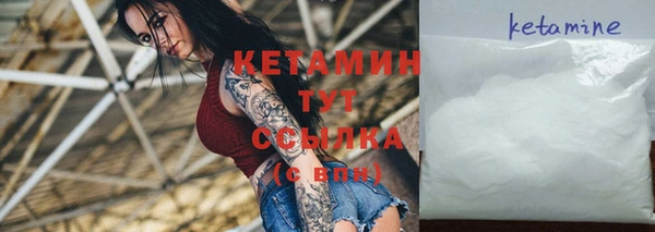 стаф Богданович