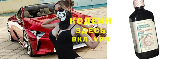 стаф Богданович