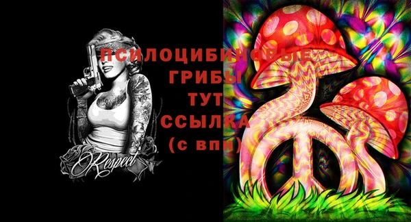 а пвп мука Богородицк