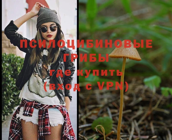 ALPHA-PVP Бородино