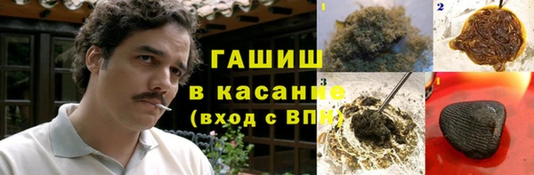стаф Богданович