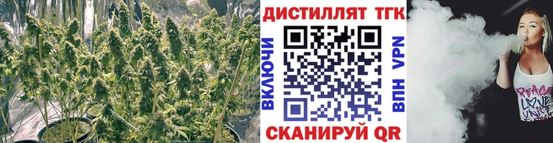 ТГК Wax  мега рабочий сайт  Ишим 