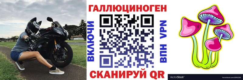 купить наркоту  Ишим  Галлюциногенные грибы мицелий 